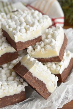 layered chocolate fudge squares